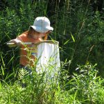 Young Entomologist