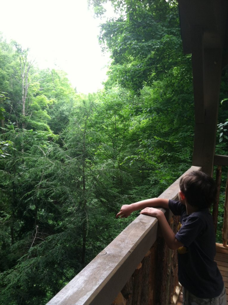 child gazes into forest over railing of our walk-in treehouse