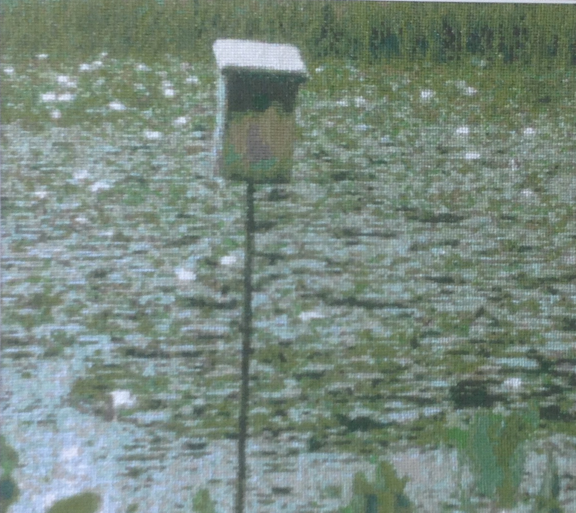 E. Gagne's crosstitch showing a birdhouse near a pond.