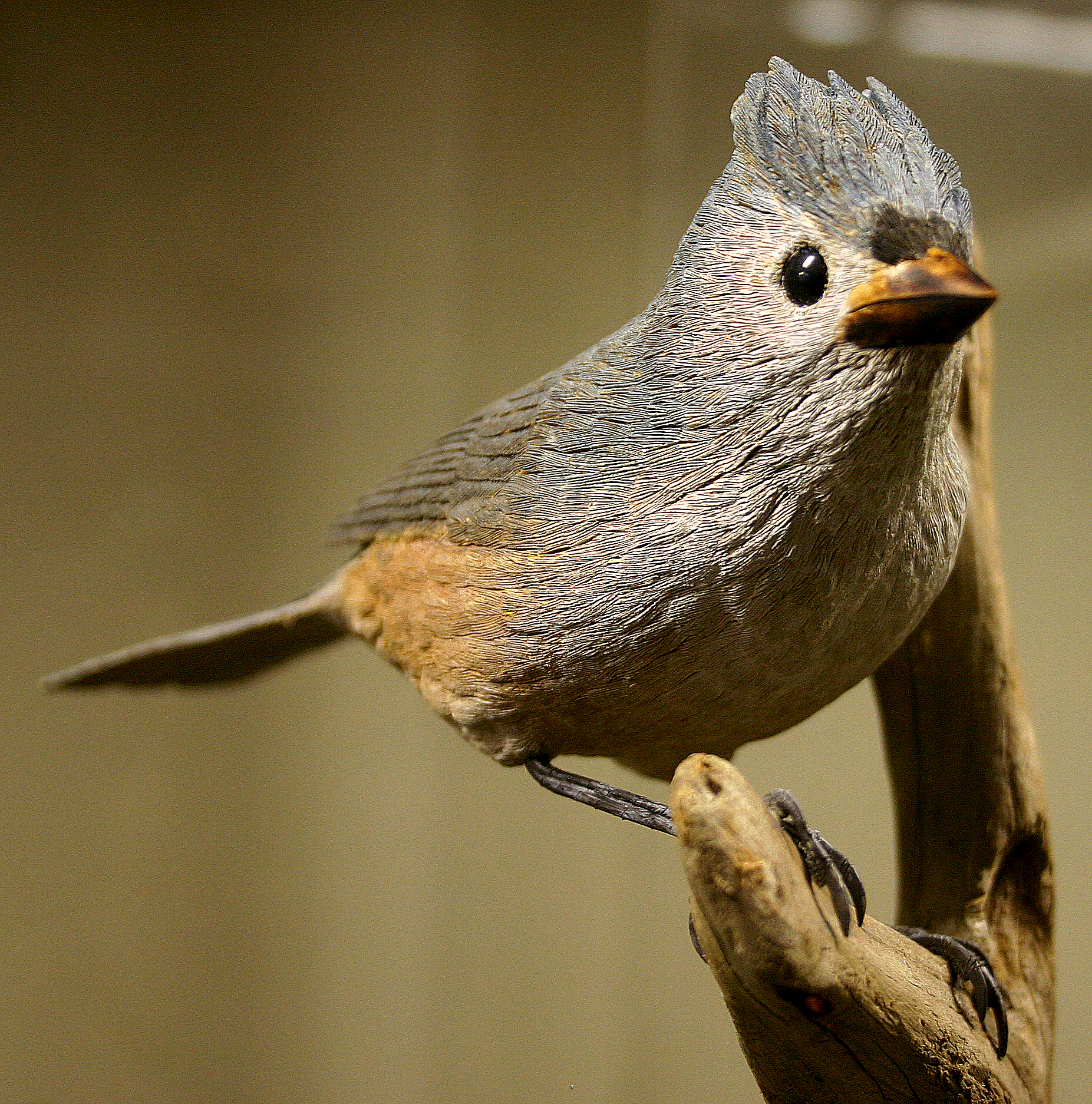 A Tufted Timouse, carved from wood and painted, is perched on a short bare branch and appear to look past the photographer's right shoulder. 