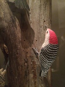 Red-bellied woodpecker, carved by Bob Spear