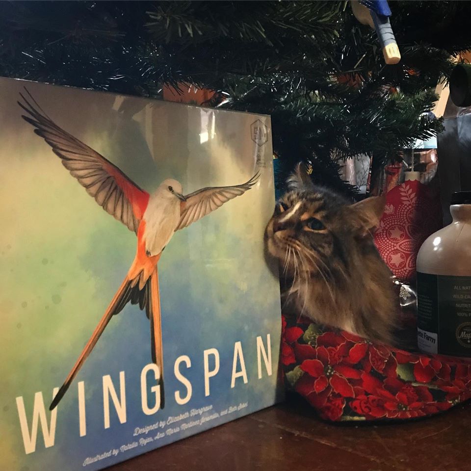 Wingspan game (photo © copyright 2019 Elizabeth Spinney and used by permission)