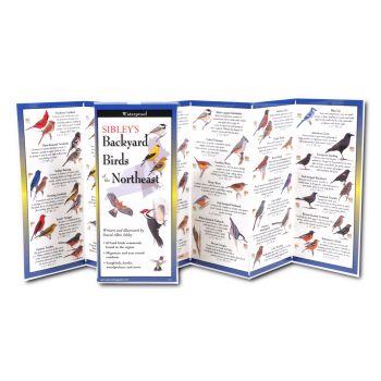 Folding Guide: Sibley's Backyard Birds of the Northeast