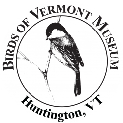 Black-capped Chickadee (ink drawing by Adelaide Tyrol for the Birds of Vermont Museum) surrounded by the words "Birds of Vermont Museum Huntington, VT"