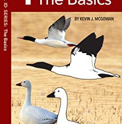 Cover to folding guide "Waterfowl ID Series: 1 The Basics". Photographs of Snow Goose and Common Merganswer overlaid by simplified black and white lllustrations to highlight what to look for.