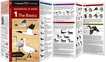 Expanded view of "Waterproof ID Series 1 The Basics" showing some of the text and illustrations