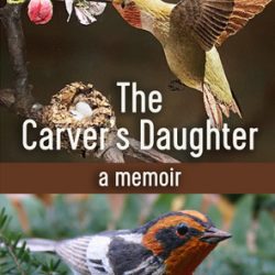 Front cover of Kari Jo Spear's book, _The_Carver's_Daughter_. Shows carved wooden Ruby-throated Hummingbird and Blackburnian warbler.