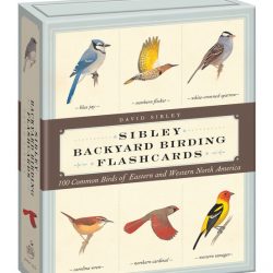 Box lid for Sibley Backyard Birding Flash cards