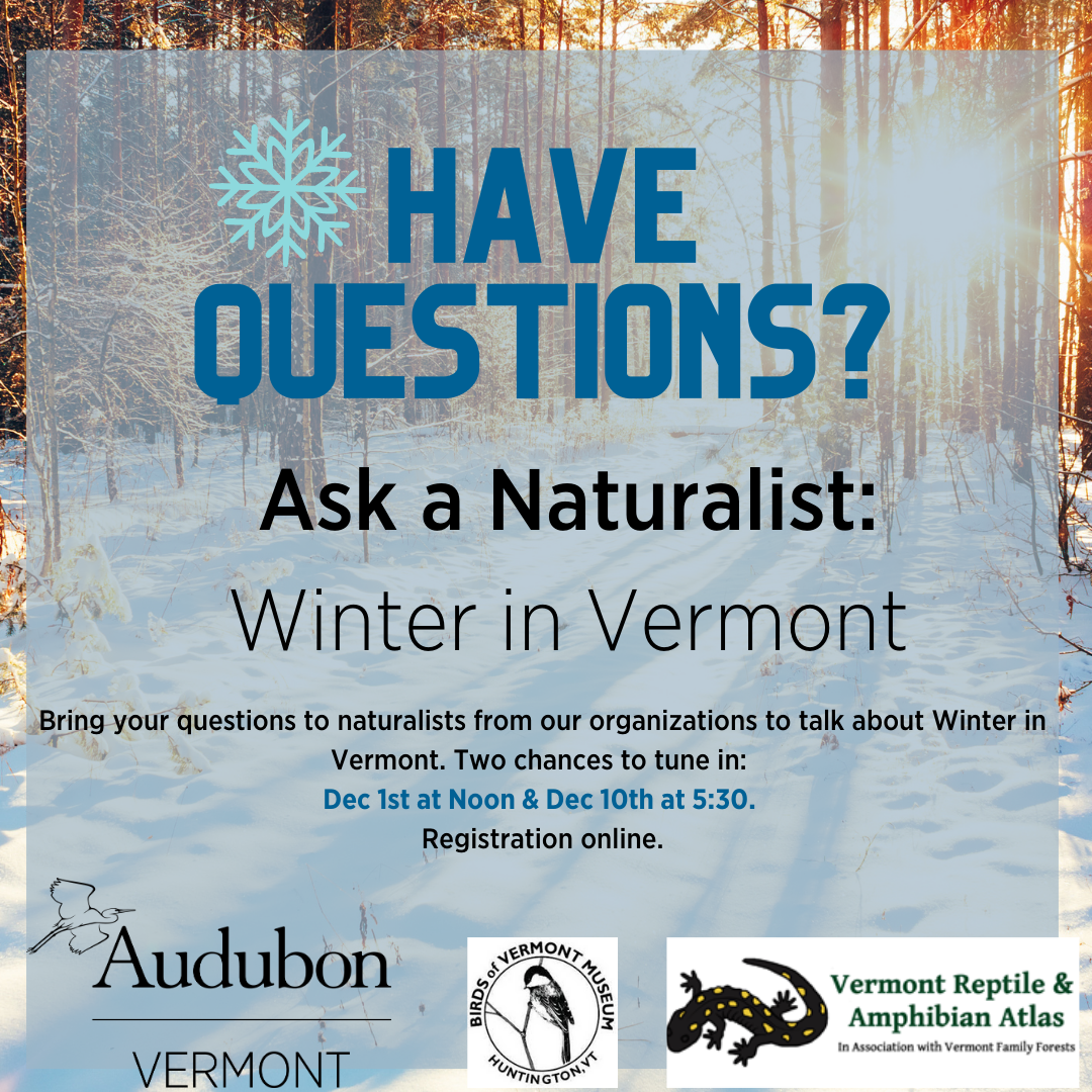 Flyer for Ask A Naturalist: Winter in Vermont program