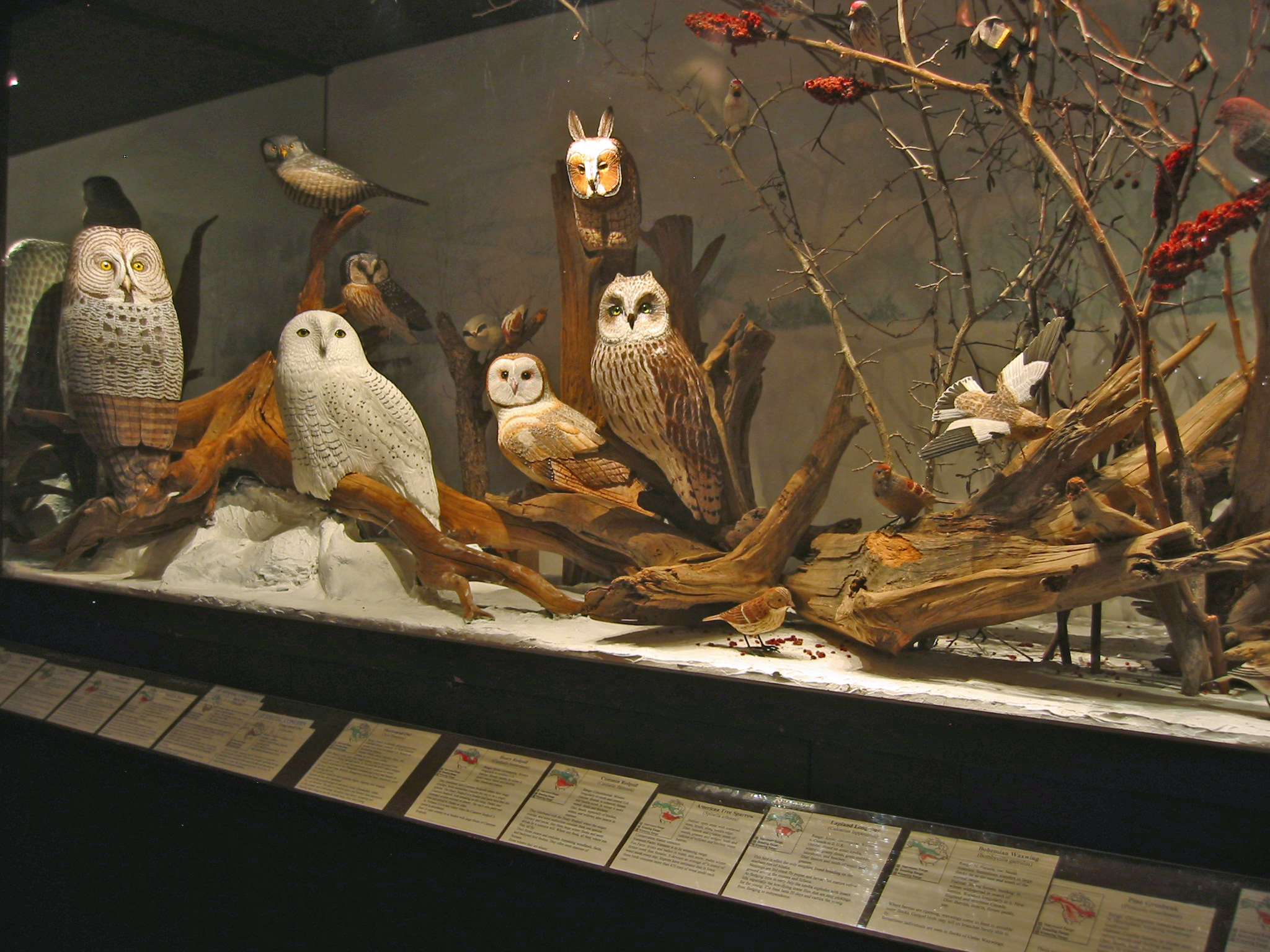 Several woodcarvings of winter owls and others shown together in a winter scene