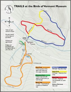 Trails map for the Birds of Vermont Museum property:shows Sherman Hollow Road, some elevation topography, and trails.