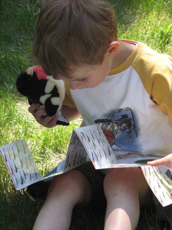 Young child holds a toy plush bird while looking at a bird identification folding guide