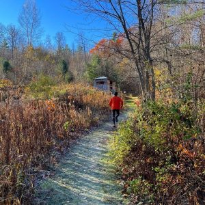 Human running away from viewer, wearing orange shirt, black leggings. This person is running on a frosty woodland trail with a bright blue sky and fall colors in the remaining foliage.
