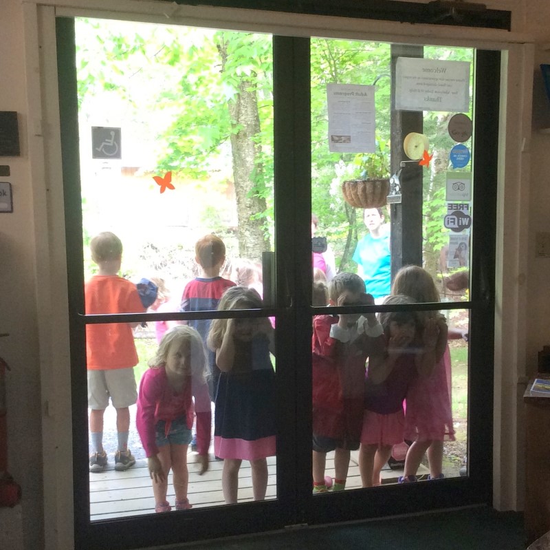 Young children peer through the glass of a double entrance door.