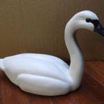 Bob Lindemann's scaled-down woodcarving of trumpeter swan, painted white with a black beak, on a wooden table
