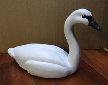 Bob Lindemann's scaled-down woodcarving of trumpeter swan, painted white with a black beak, on a wooden table