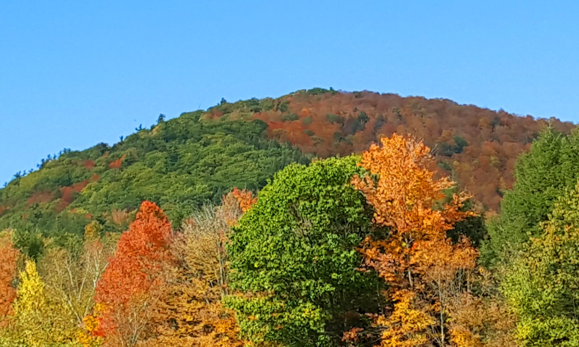 hill in fall colors with more trees in foreground