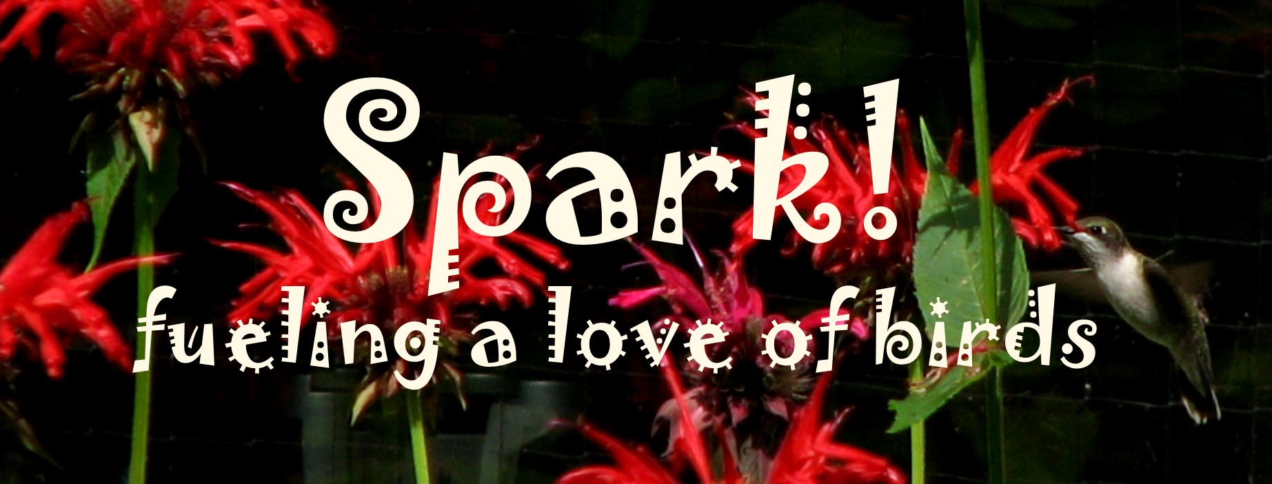 banner image: Text says "Spark! fueling a love of birds"; background is red bee balm in bloom against a dark background, with a female ruby-throated humming bird hovering by the rightmost flower