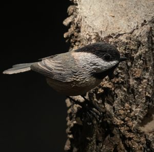 Lifelike wood carving of a Black-capped chickadee, perched on the side of a rough-barked stump. Carved by Bob Spear.