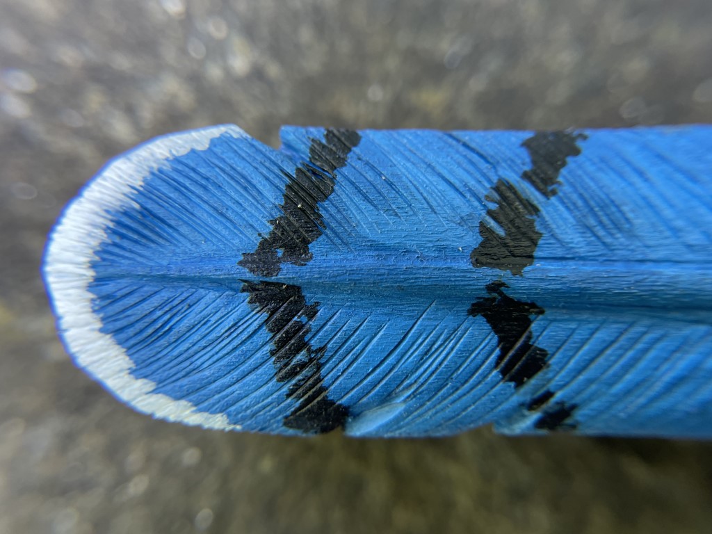 The outer end of a carved, burned, and painted wooden blue jay feather. Crafted by Bob Lindemann.