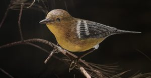 Life-like Pine Warbler woodcarving by Bob Spear