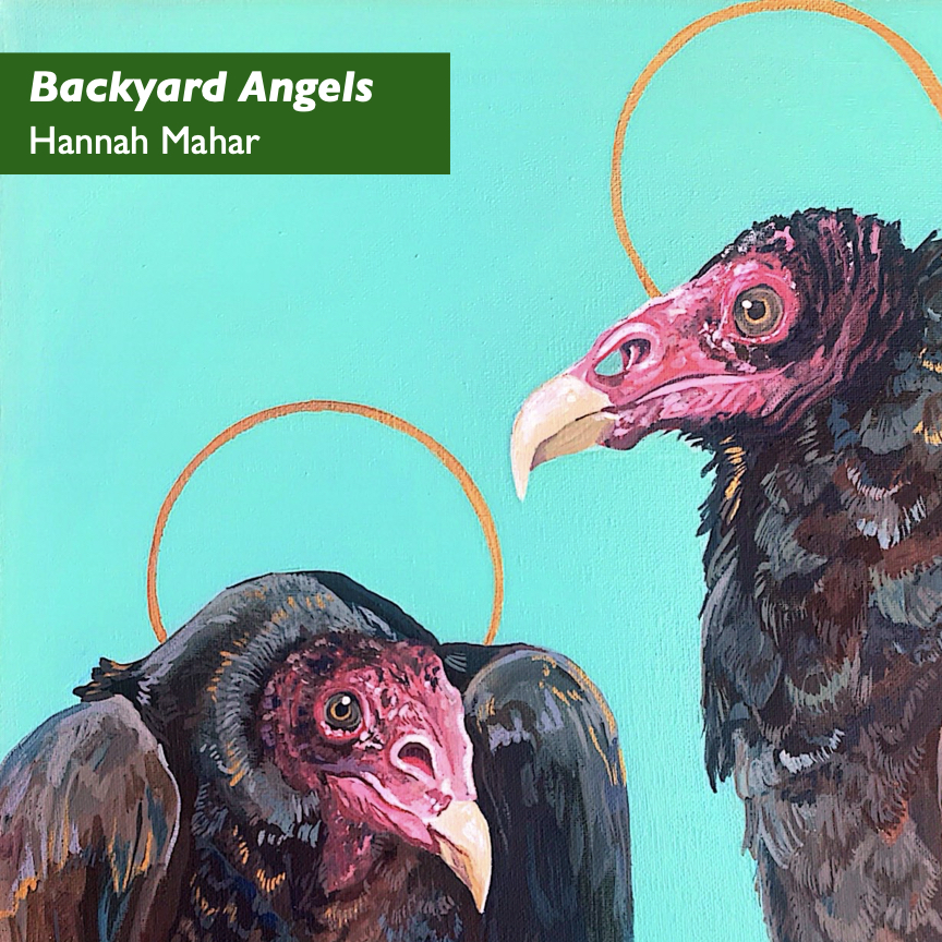 Excerpt of a painting of two turkey vultures, shown from the "shoulders" up, with golden halos. One is in profile, and the other peers forward at the viewer. Their heads are red and without feathers, their beaks white, and their feathers dark with hints of reds, blues, blacks, and browns. The background is a plain light turquoise. Title: Backyard Angels. Excerpt of a painting by Hannah Mahar. Copyright © 2024 and used with permission.