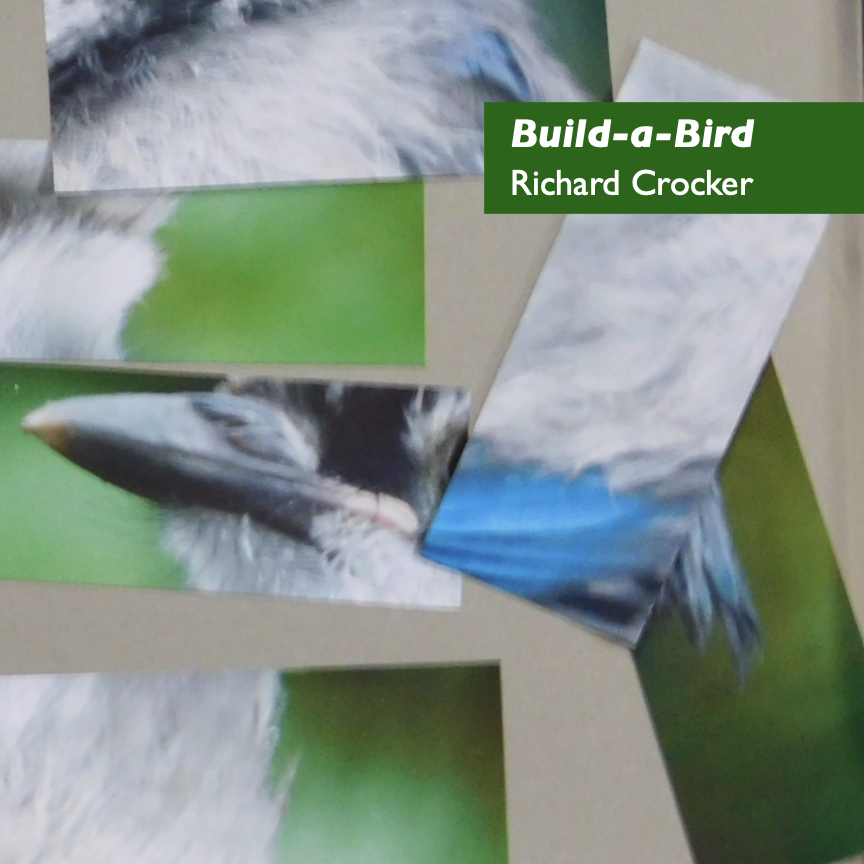 Rectangular pieces of a puzzle possibly showing a gray and blue bird are disarranged on a silver tray. Only part of the tray and some of the pieces can be seen. Build-a-Bird: Blue Jay. Photograph of a puzzle created by Richard Crocker. Copyright © 2024 and used with permission.