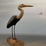 Great Blue Heron carved in wood and painted (scaled smaller than life). The Heron is standing/mounted on a piece of log, and placed in the wetlands exhibit at the Birds of Vermont Museum
