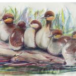 Colored pencil illustration of ducklings by Chris Selin