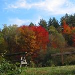 Deciduous trees turning colors: green, ruby, and orange leaves with evergreens behind. Part of a wooden picnic table is visible in the foreground between green and greenish-yellow plants; a light blue sky with wispy clouds in the background.