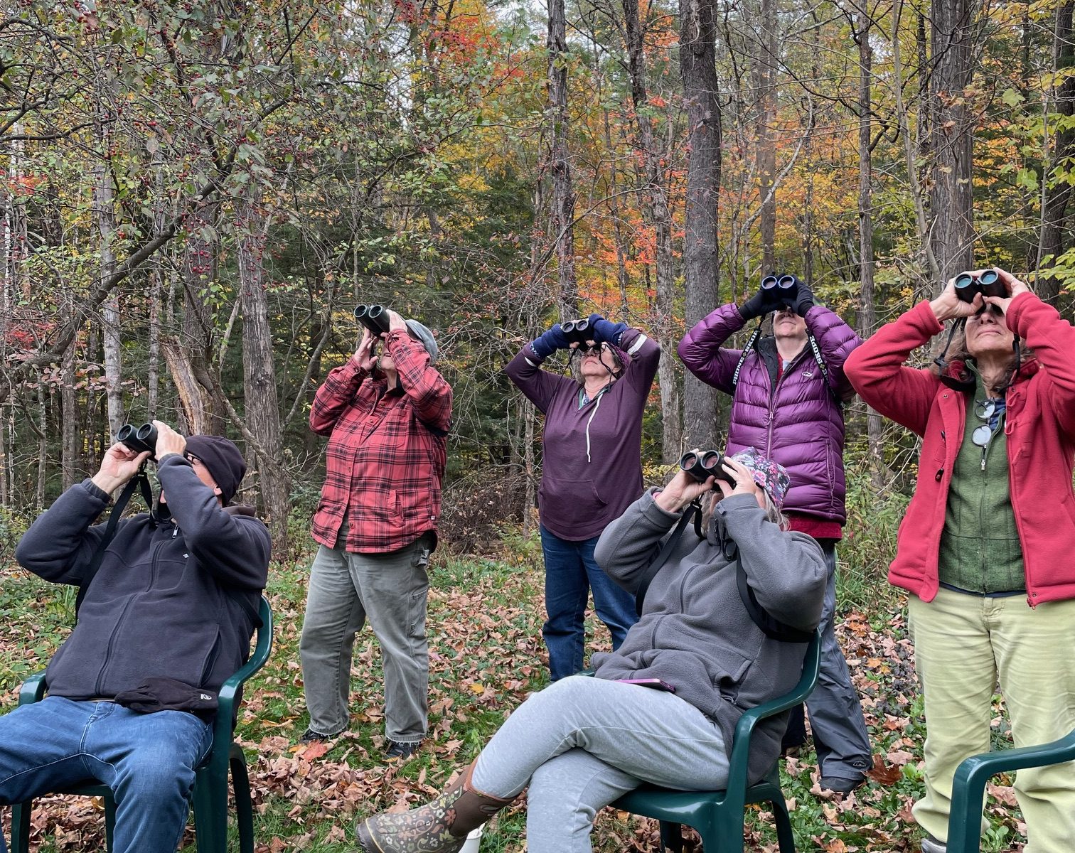6 humans in brightly colored coats sit and stand and look through binoculars. Behind them are autumn deciduous trees with some brightly colored leaves still visible.