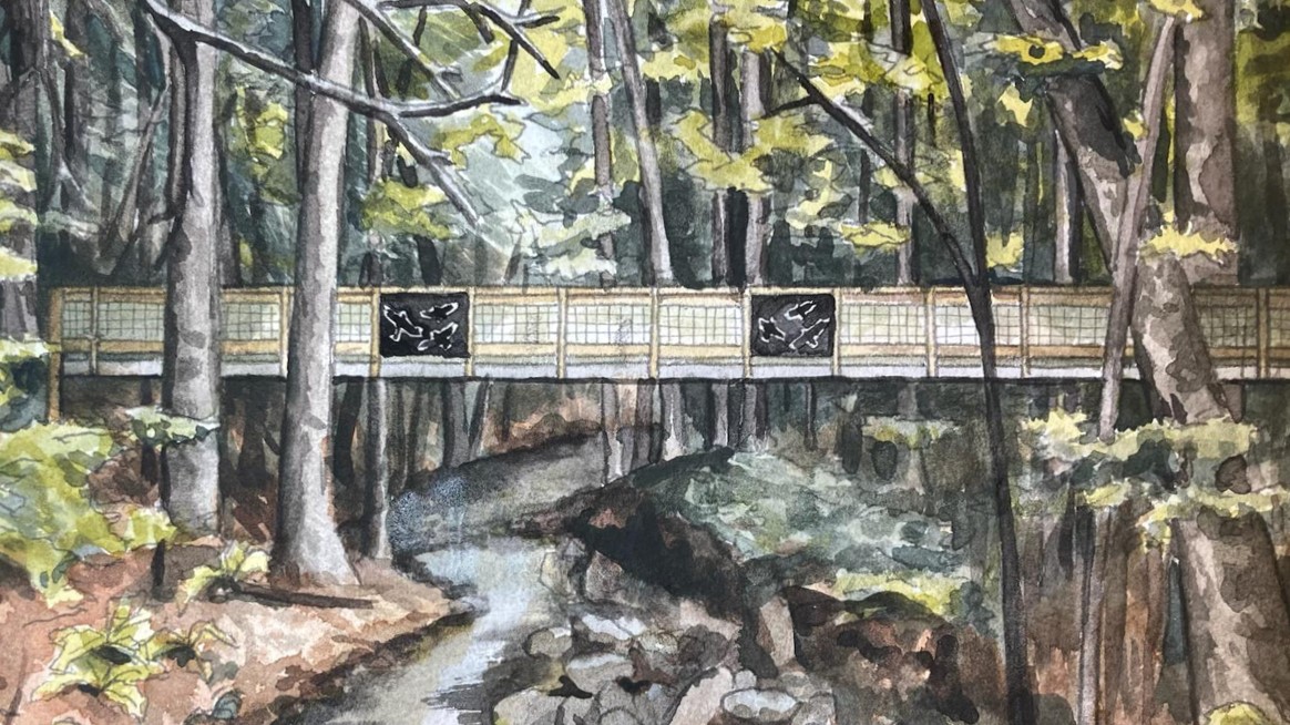 Watercolor painting by Ev McIndoo showing a concept for the new Sherman Hollow Brook Bridge: a flat bridge stretches over a forest stream. The railing is a mesh wire, but there are two inset panels showing birds in flight.