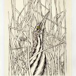 Screenprint: sepia-ink on cream paper of the body, neck and head of an American Bittern in reeds.