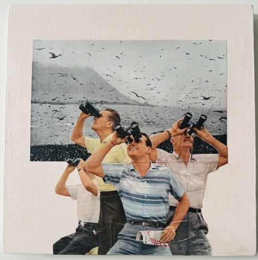 Collage of photographs showing three white men peering through binoculars. Their backs are toward a bay of gray water with a steep hill behind. Many birds flying and diving above and into the water. The assemblage shows the men in front of a rectangular panels showing the water and birds.