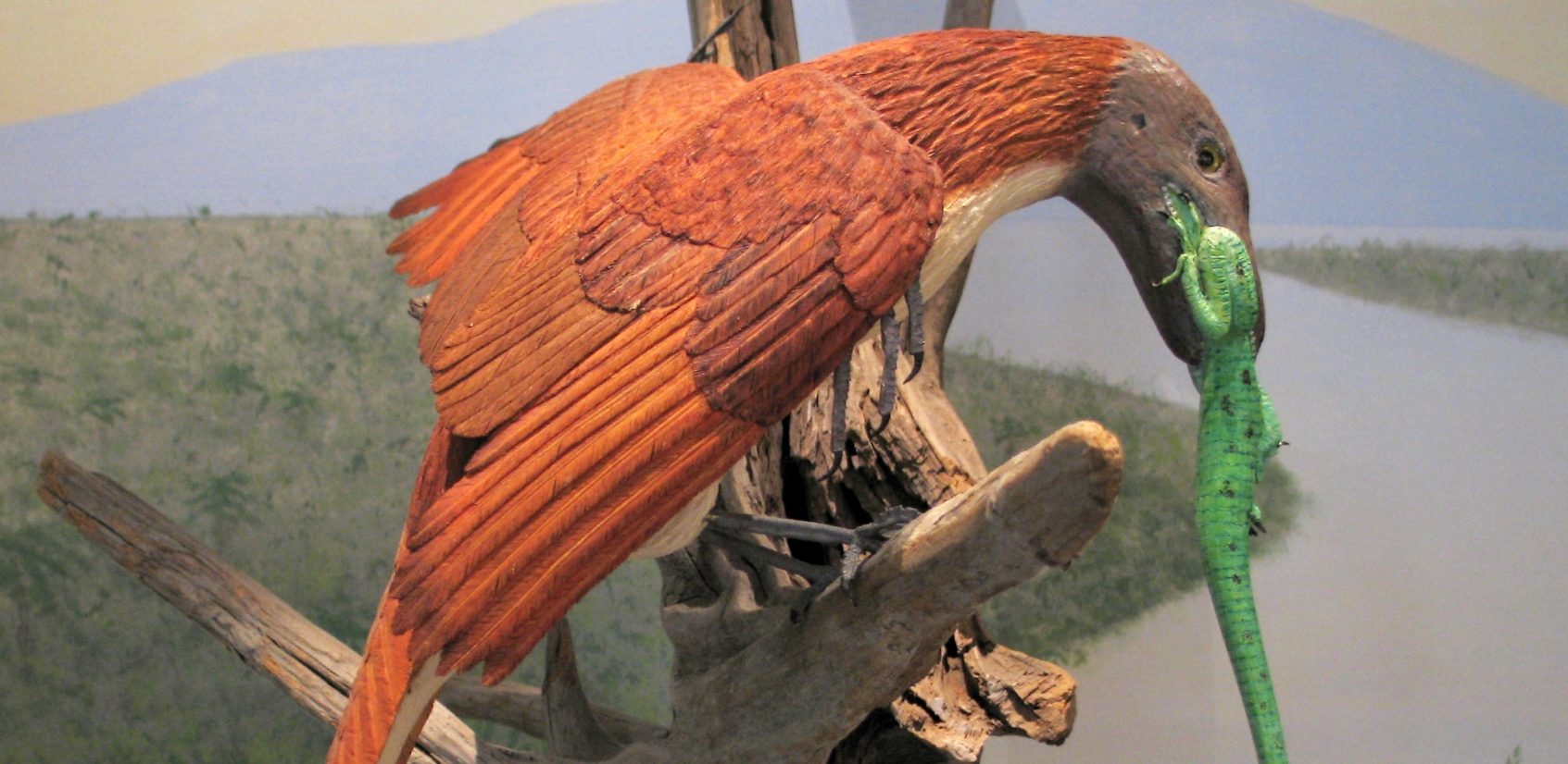 Woodcarving of Archeopteryx eating a reptile. Carved and painted by Bob Spear. The Archeopteryx has reddish brown feathers and the reptile has green skin. The Archeopteryx is perched in a dead tree, and the background is painted landscape showing a river, a forest, and mountains.
