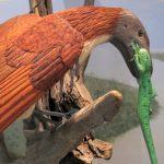 Woodcarving of Archeopteryx eating a reptile. Carved and painted by Bob Spear. The Archeopteryx has reddish brown feathers and the reptile has green skin. The Archeopteryx is perched in a dead tree.