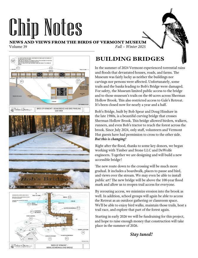 Screenshot of first page of an issue of Chip Notes, a print newsletter.