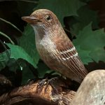 Life-size lifelike woodcarving of an Eastern Wood Pewee on a branch. This is a small brownish-gray songbird with two white wingbars and a pale, faintly speckled breast and belly. There are green painted metal maple leaves behind the bird.