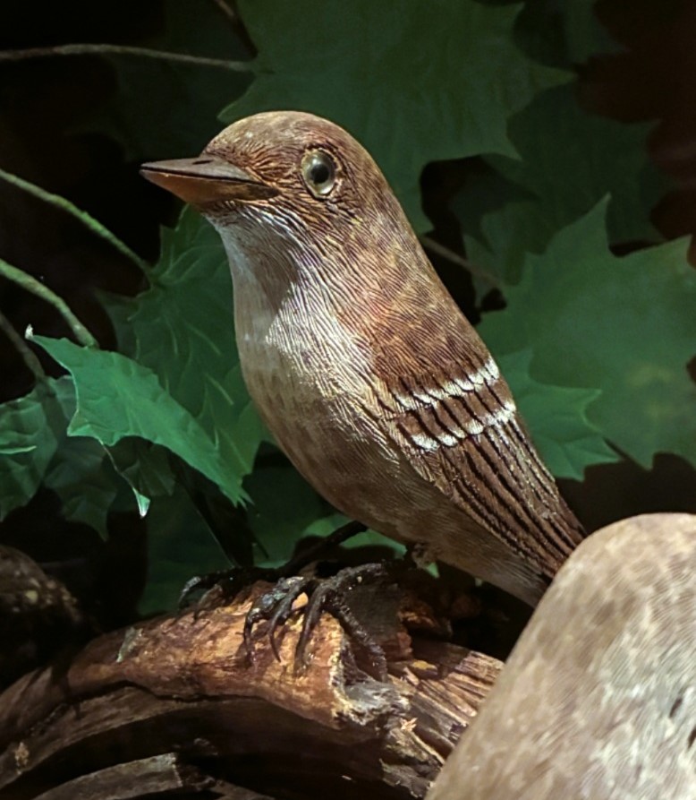 Life-size lifelike woodcarving of an Eastern Wood Pewee on a branch. This is a small brownish-gray songbird with two white wingbars and a pale, faintly speckled breast and belly. There are green painted metal maple leaves behind the bird.